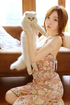 乱鬼龙种子
