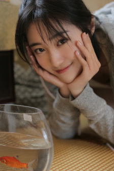 掟上今日子的备忘录